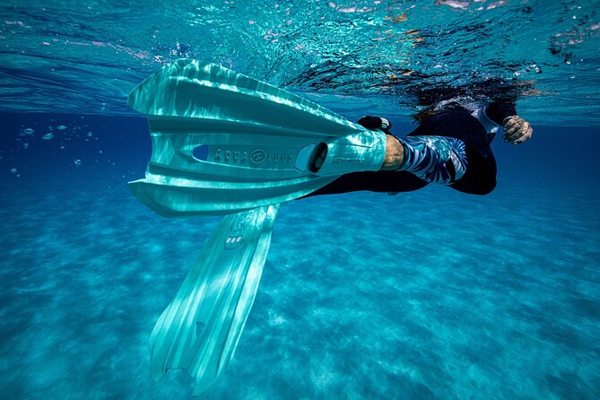 24H Snorkel Rental Equipment, Discover Tenerife on Your Own! - Family-Friendly Snorkeling Adventure