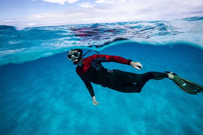 24H Snorkel Rental Equipment, Discover Tenerife on Your Own! - Discover Local Marine Life