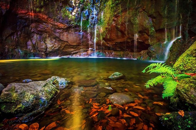 25 Fountains" Walk / Lost In The Beautiful Forest - Key Points