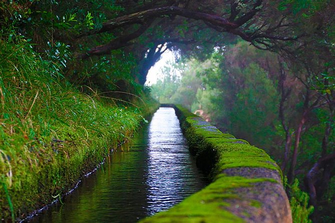 25 Fountains" Walk / Lost In The Beautiful Forest - Plunging Into Icy Waters