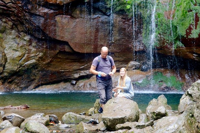 25 Fountains" Walk / Lost In The Beautiful Forest - Hiking the Laurisilva Forest