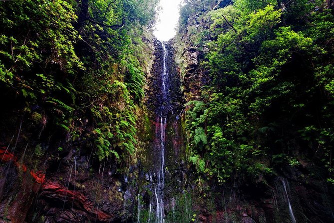 25 Fountains" Walk / Lost In The Beautiful Forest - Sunrise Hike to Pico Ruivo