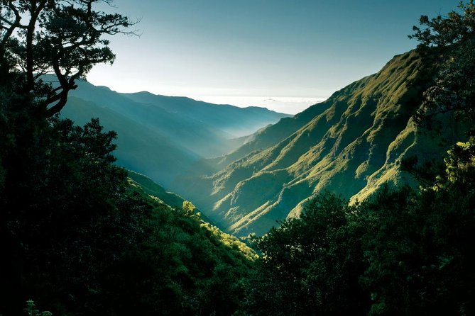 25 Fountains" Walk / Lost In The Beautiful Forest - West Tour Waterfalls & Fanal