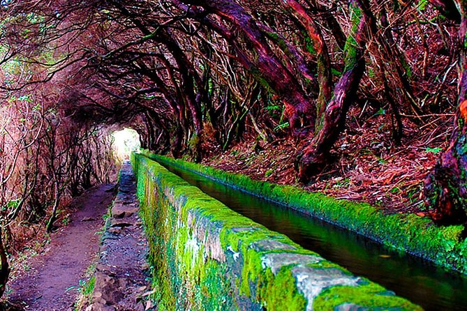 25 Fountains" Walk / Lost In The Beautiful Forest - Personalized Tour Experiences