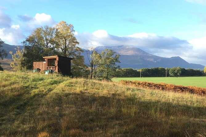 25 Shot Clay Pigeon Shooting Experience - Overview of the Experience