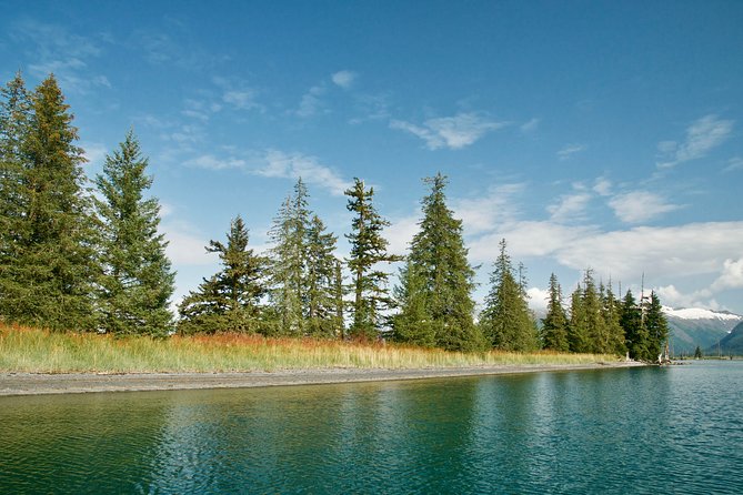 26 Glacier Cruise and Coach From Anchorage, AK - Cancellation and Refund Policy