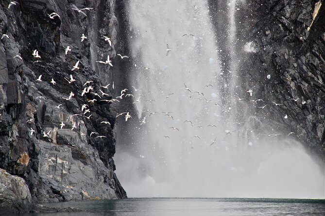 26 Glacier Tour, Self-Drive From Anchorage, AK - Sights and Wildlife on the Cruise