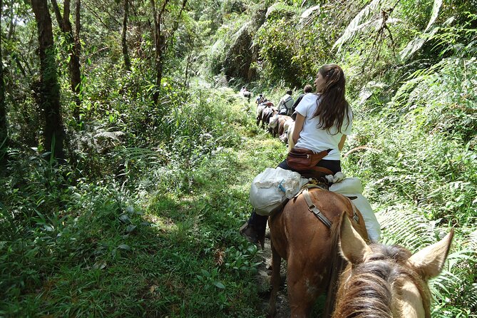 2D/1N Private Culture & Archaeological Tour in San Agustin - Health and Safety Considerations