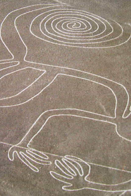 2D Tour Nasca Lines Ballestas Islands Tour Paracas Reserve - Inclusions