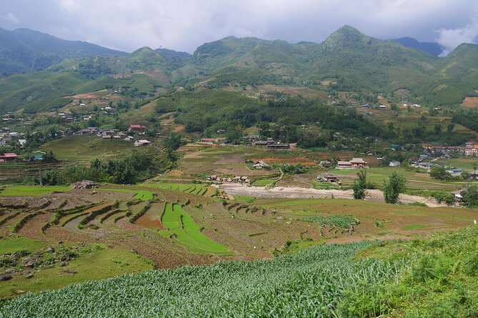 2D1N Buffalo Trek by Hmong Sister House and Trekking - Additional Information