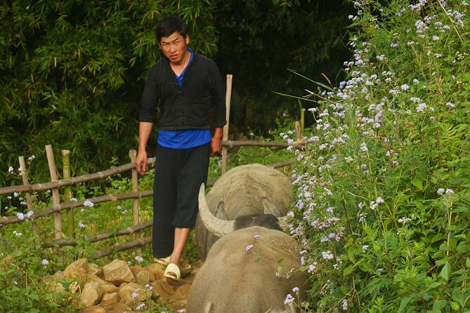 2D1N Buffalo Trek by Hmong Sister House and Trekking - Pickup and Trek Start