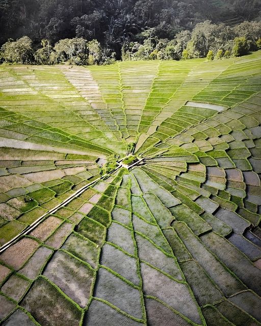 2D1N Exotic Waerebo Village Tour From Labuan Bajo - Getting to Waerebo Village