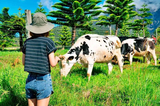 2d1n Kinabalu Park & Poring Canopy Walk & Desa Cow Farm Tour - Pickup Details
