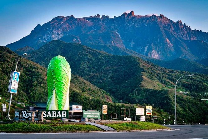 2d1n Kinabalu Park & Poring Canopy Walk & Desa Cow Farm Tour - Kinabalu National Park