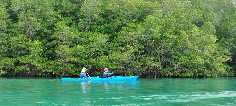 2D1N Komodo Kayak Tour - Additional Notes