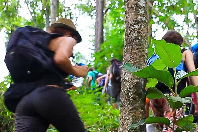 2D1N Mae Wang National Park Jungle Trekking Adventure From Chiang Mai - Safety and Precautions