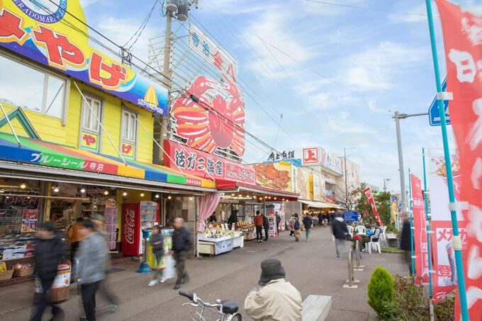 2D1N Niigata Summer Getaway:Enjoy the Gorgeous Fireworks Etc - Day 2: Exploring Niigata