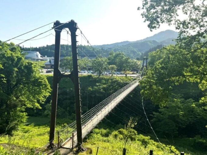 2D1N Niigata Summer Getaway:Enjoy the Gorgeous Fireworks Etc - Afternoon: Nishiki-goi Park
