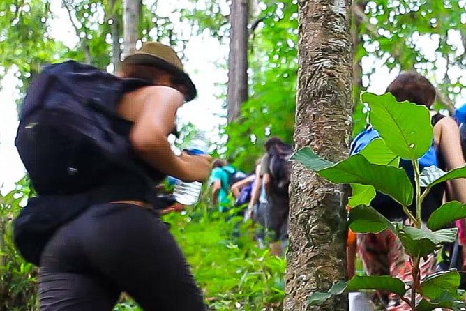 2D1N Trek Adventure at Mae Wang With Overnight at Karen Hilltribe - Day 1: Trekking in Mae Wang National Park