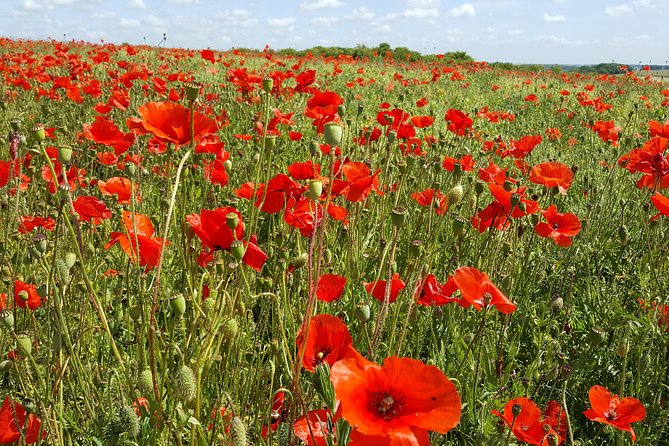 2day Australian WW1 Battlefield Tour in Flanders the Somme From Lille and Arras - Comprehensive Itinerary