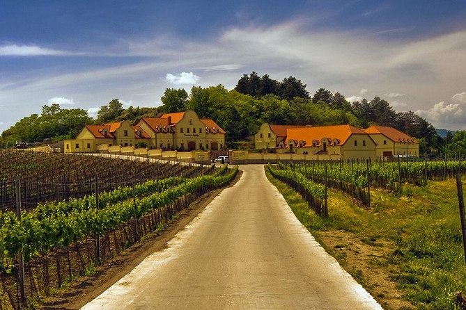 2day Private Tour of Wine Region in Czech Republic and Bratislava From Vienna - Activities and Experiences