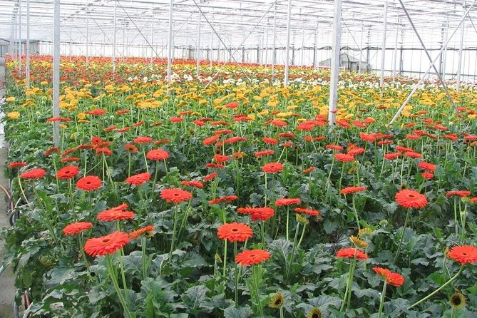 2DAY TOUR DA LAT to MUI NE - Farmhouse Overnight Stay