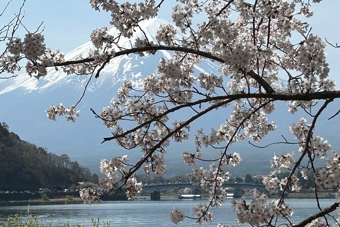 2DAYS 1NIGHT Private Tour, Tokyo~Nagano~Nagoya, 2-10 Guests - Highlights and Experiences