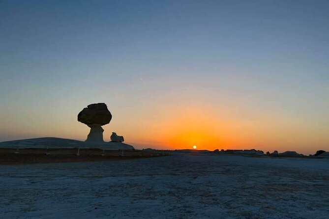 2DAYS to White Desert and Bahariya Oasis Tour From Cairo & Giza - Meal Inclusions