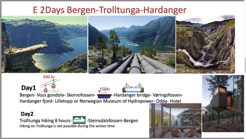 2days Tour to Hardanger and Flåm or Sognfjord Glacier Flexib - Pricing and Inclusions