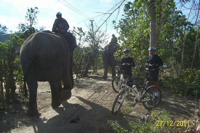 2DAYS Tour to Nha Trang From Dalat - Preparing for the Tour
