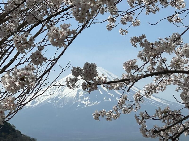 2Days1Night Private Tour Nagoya~Nagano~Tokyo Up To 10 Guests - Exploring the Nagano Region