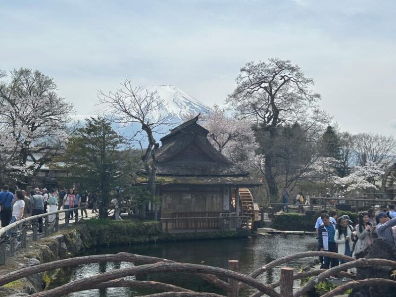 2Days1Night Private Tour Nagoya~Nagano~Tokyo Up To 10 Guests - Marveling at Matsumoto Castle