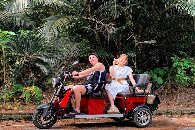 2h 3-Seater Electric Trike Rental (Ishigaki, Okinawa) - Rental Duration and Capacity