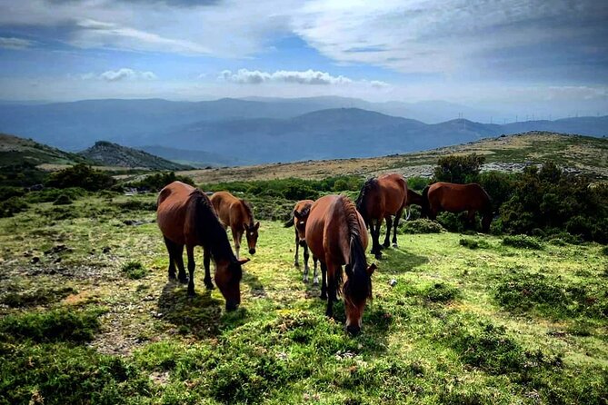 2h Buggy Tour • Arcos De Valdevez • Peneda Gerês - Scenic Views of Valleys