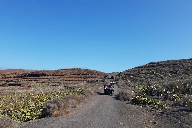 2h Buggy Tour Guided by the North of Lanzarote - Volcanic Landscapes