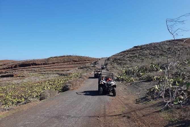 2h Buggy Tour Guided by the North of Lanzarote - Safety Measures