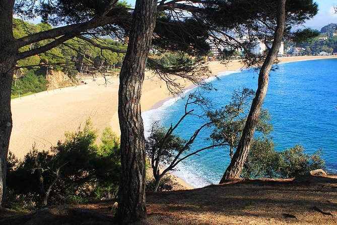 2h Guided Kayak Tour on the Costa Brava - Good To Know