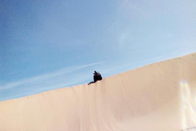 2h Quad Bike on the Beach and in the Dunes - Exploring the Forests, Dunes, and Beaches
