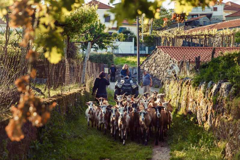 2h Quad Tour • Arcos De Valdevez • Peneda Gerês - Booking and Cancellation