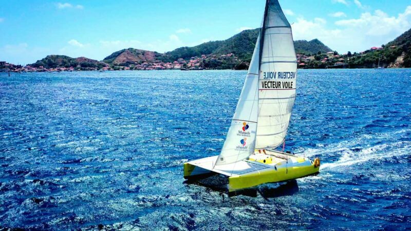2h Sailing catamaran in La Baie des Saintes - An In-Depth Look at the Experience