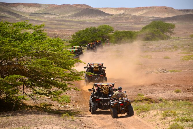 2h SSV Buggy Desert Adventure - 1000cc or 500cc - Adventure Experience