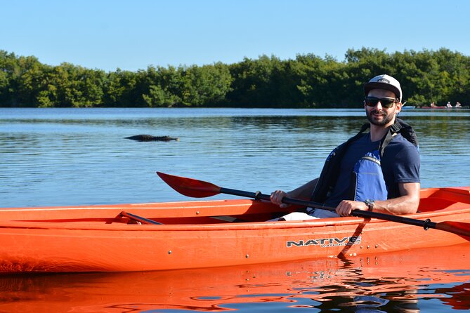 2Hour Everglades Kayak Safari Adventure Through Mangrove Tunnels - Wildlife and Ecosystem Experience
