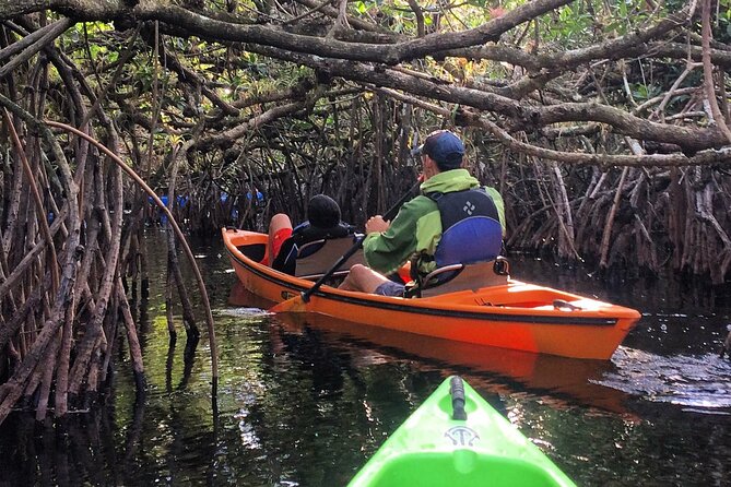 2Hour Everglades Kayak Safari Adventure Through Mangrove Tunnels - Kayak and Gear Inclusions