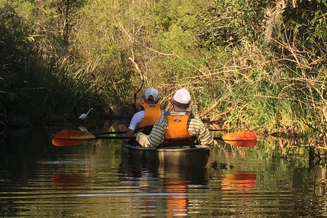 2Hour Everglades Kayak Safari Adventure Through Mangrove Tunnels - Adventure Difficulty and Recommendations