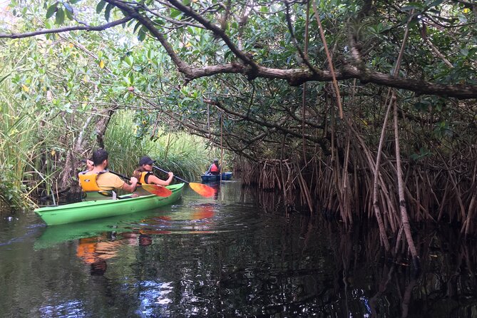 2Hour Everglades Kayak Safari Adventure Through Mangrove Tunnels - Tour Booking and Cancellation Policy