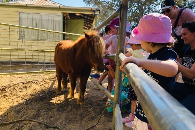 2hr Animal Tour - Guided Experience