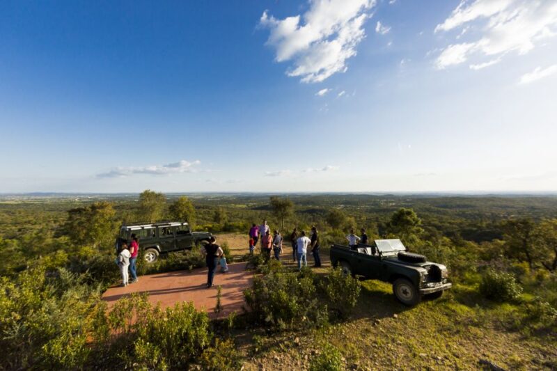 2hr Cork Safari in a Classical Land Rover - Inclusions and Exclusions