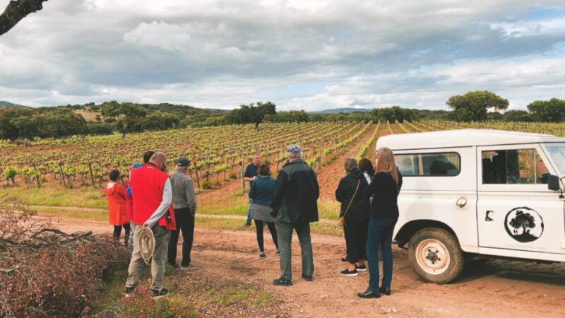 2hr Cork Safari in a Classical Land Rover - Cork Farm and Estate