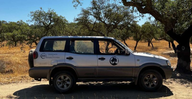 2hr Cork Tour in a 4x4 Jeep - Experience Highlights