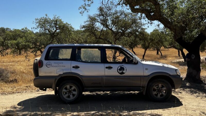2hr Cork Tour in a 4x4 Jeep - Itinerary Details
